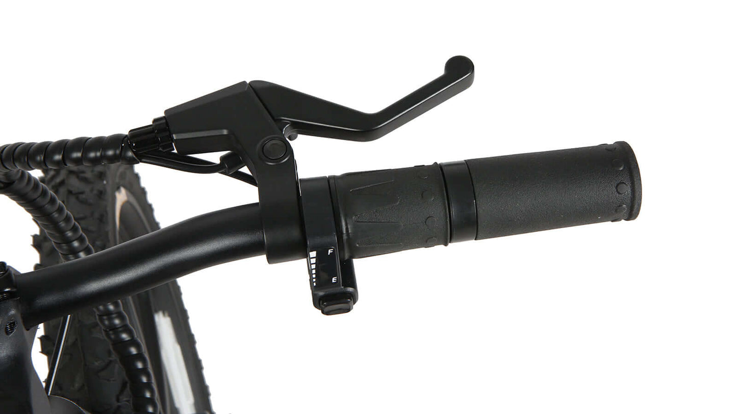 EUNORAU EKIDS-20 ebike brake lever detail