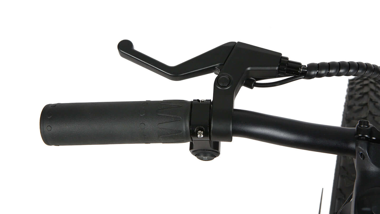 EUNORAU EKIDS-20 ebike brake lever detail