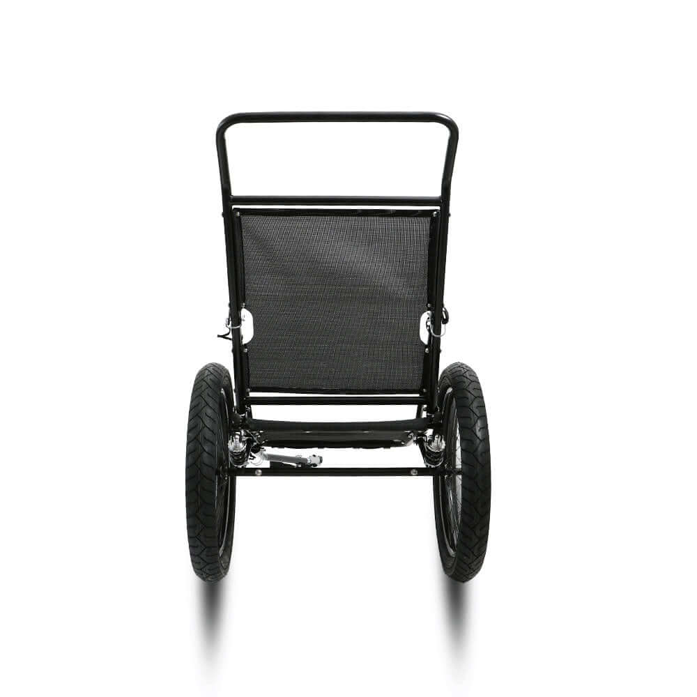 Two Wheel Ebike Trailer rear view