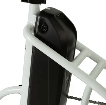 EUNORAU NEW-TRIKE battery detail