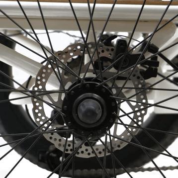 EUNORAU NEW-TRIKE rear wheel, gears and brake rotor detail