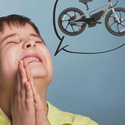 EUNORAU EKIDS-20 ebike showing a young boy wishing for it