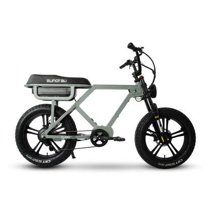 EUNORAU FLASH stylish ebike available in mid drive rear hub drive and all wheel drive