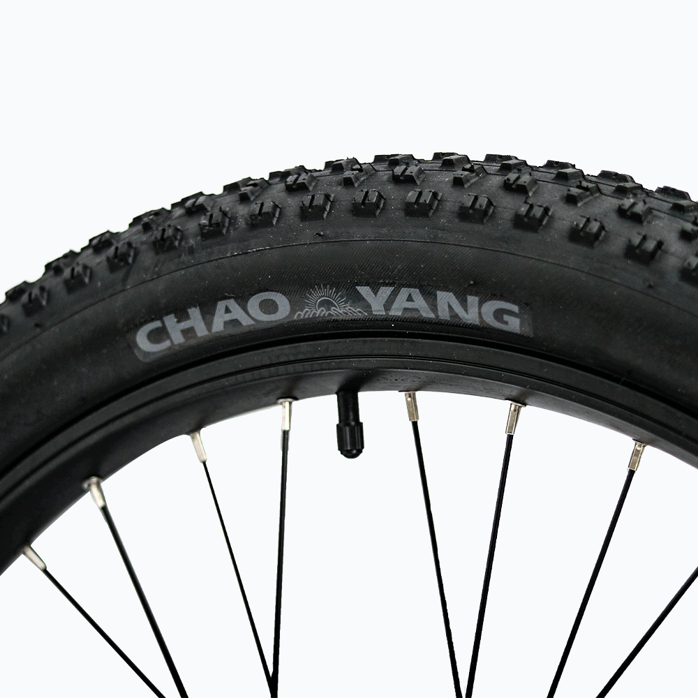 Skinny Tire Conversion Kit For Eunorau FAT-HD & FAT-HS Ebikes showing sidewall label