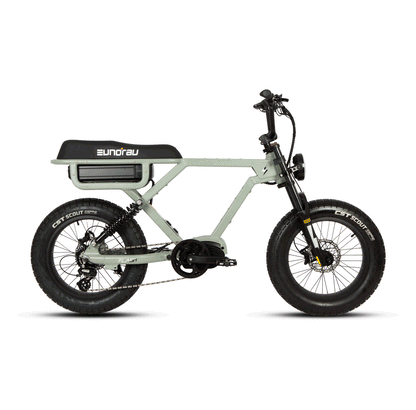 EUNORAU FLASH stylish ebike available in mid drive rear hub drive and all wheel drive