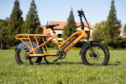 EUNORAU G30-CARGO ebike side view on a lawn