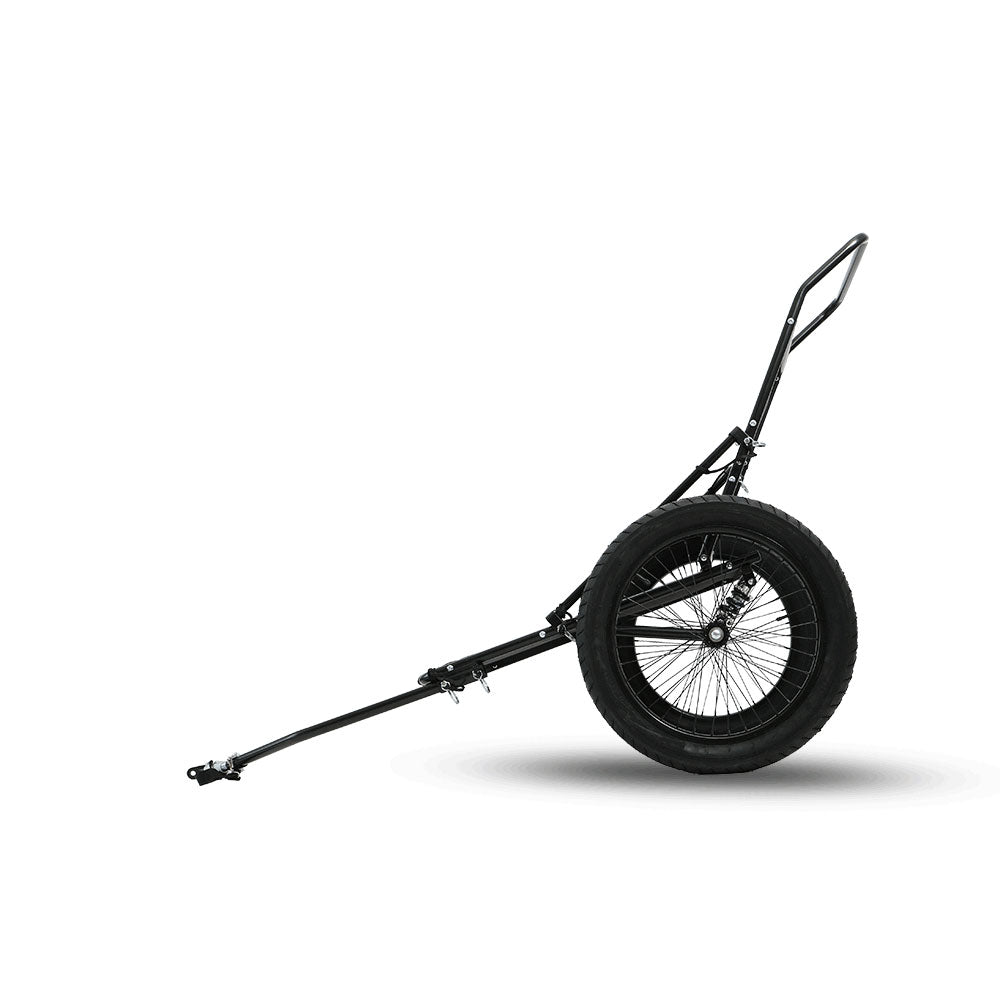 Two Wheel Ebike Trailer