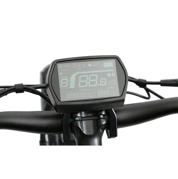 Display screen of the EUNORAU FAT-HS fat tire Ebike showing speed, battery level, and other essential riding information.