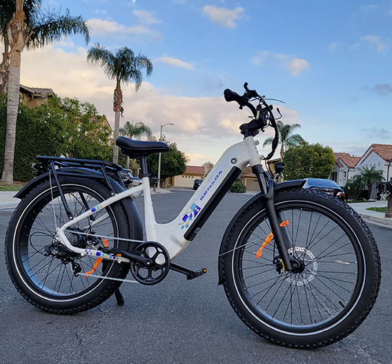 SENADA MAYOR Premium All-terrain Fat Tire EBike with palm trees in background