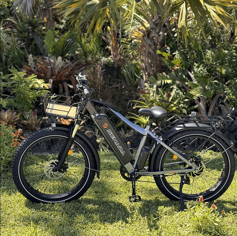 SENADA SABER PLUS electric bike with advanced features, including a high-quality motor, hydraulic disc brakes, and battery protection, displayed in a garden.